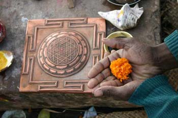 Kashi 11_