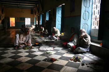 Kashi 33_